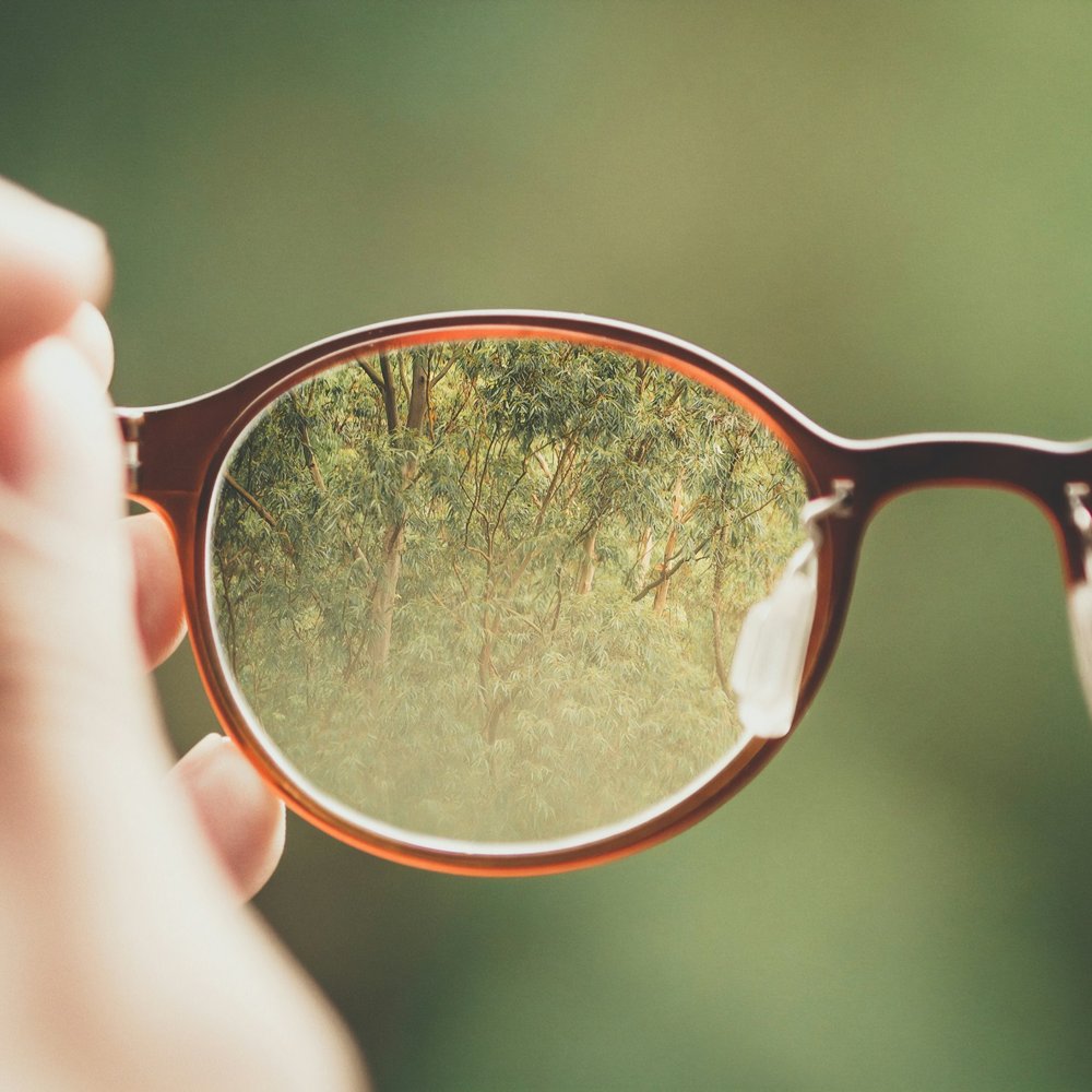 MGI IONSPEC Optical Frame 50 3